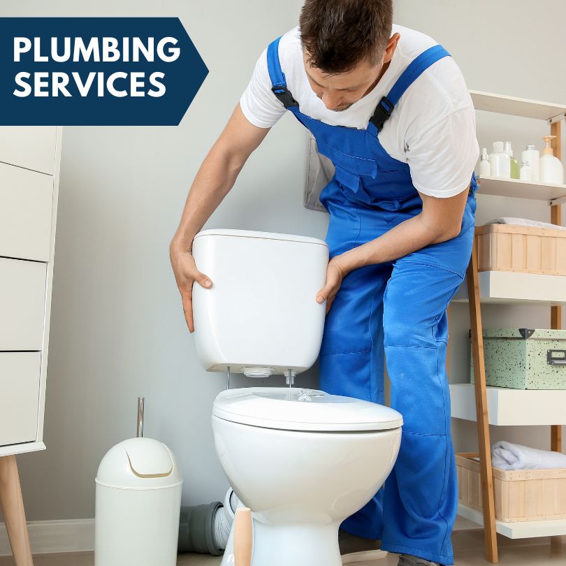 Plumbing Company in New Burnside, IL